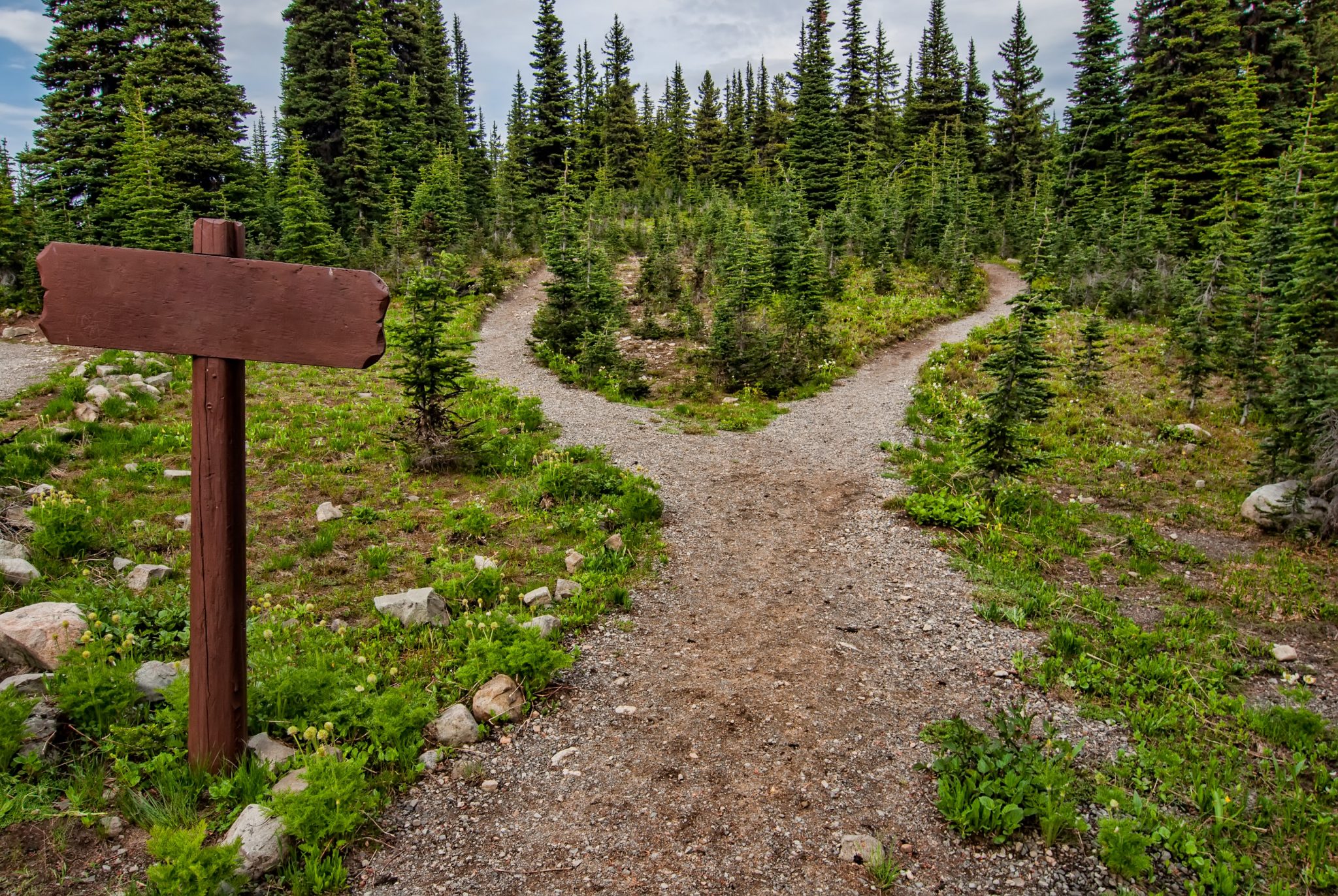 The Path to Lawyer Well-being